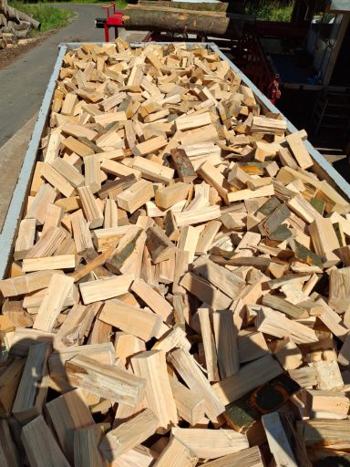Scheitholz frisch im Trocknungscontainer
