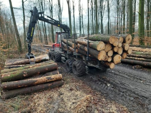 Stammholz aus Bestand fahren